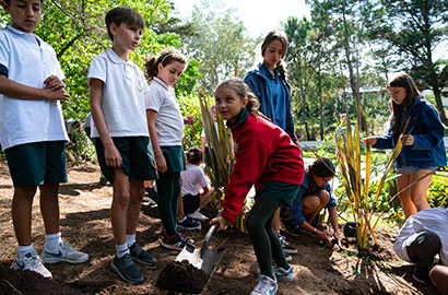 Día del Agua,  Plantación de árboles en Punta del Este