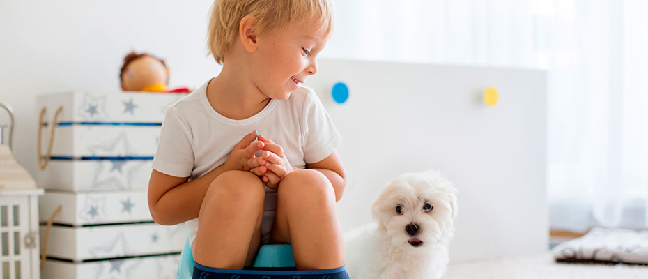 Niño sentado en una pelela con un perro a su lado