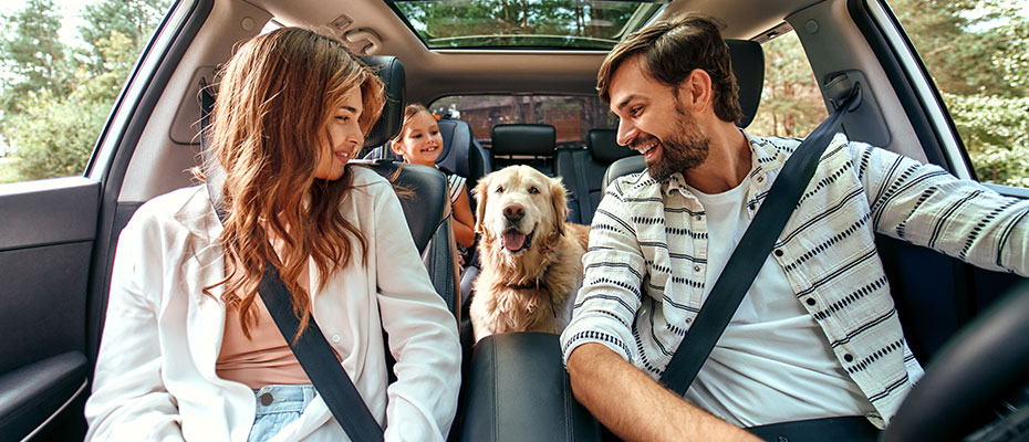 Vista interior de un auto con una pareja, un niña en el asiento trasero y un berro beige