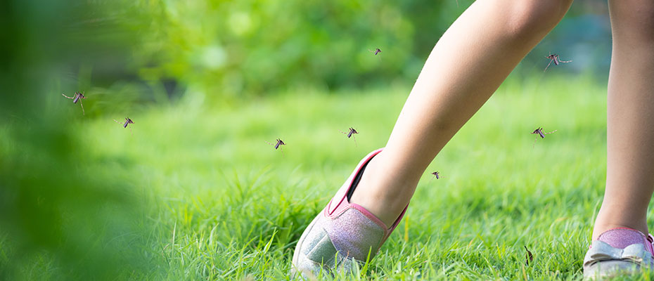 Piernas de niña en un jardín rodeada de mosquitos