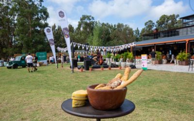 Festival Pan y Queso